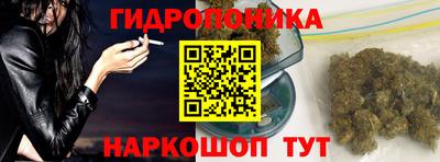 крисы Татарск