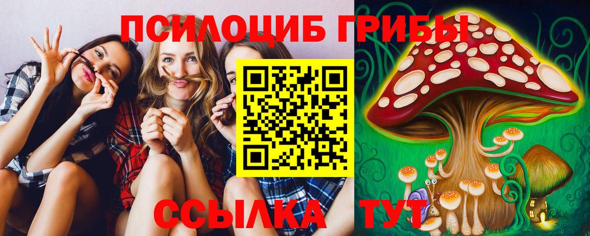 Галлюциногенные грибы MAGIC MUSHROOMS  Галлюциногенные грибы Magic Shrooms  Вход с VPN  Мценск 